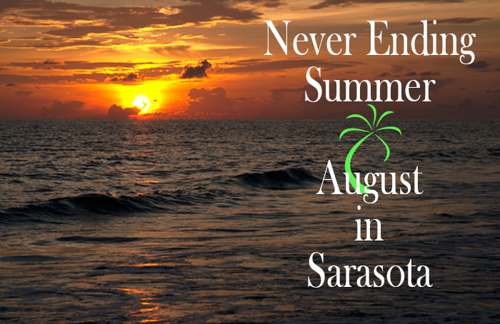 Never Ending Summer August in Sarasota